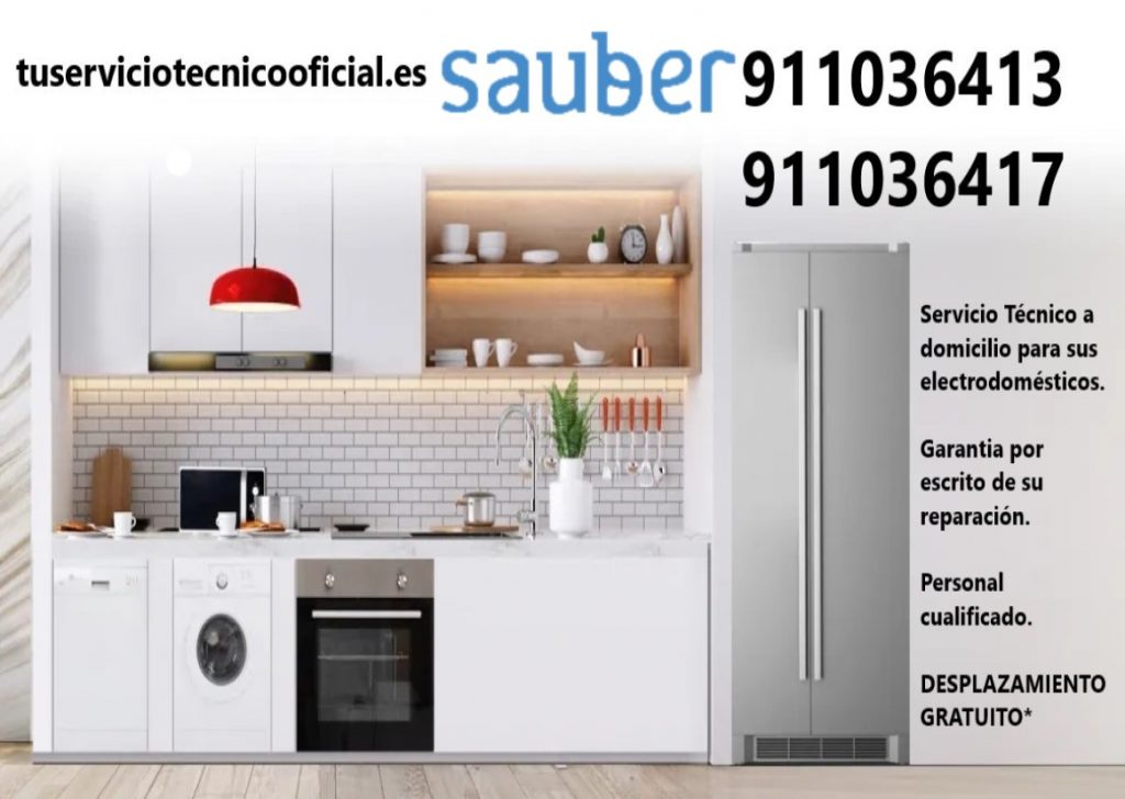 cabecera base sauber 1024x728 - Servicio Técnico Sauber en Madrid