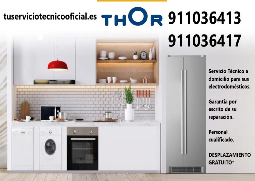 cabecera base thor 1024x728 - Servicio Técnico Thor en Madrid