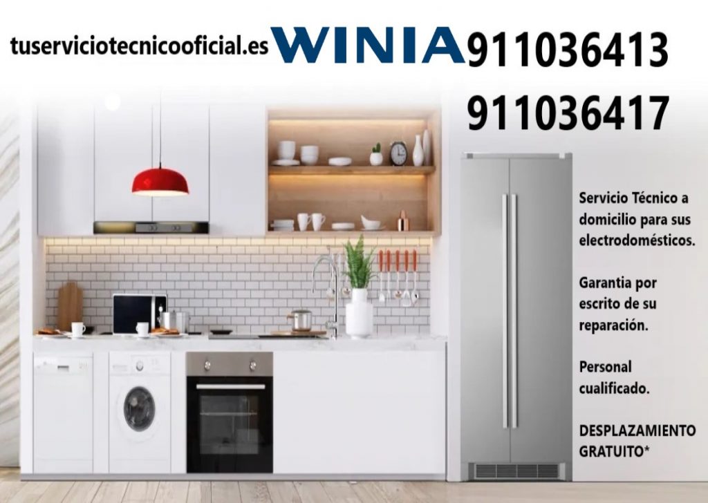 cabecera base winia 1024x728 - Servicio Técnico Winia en Madrid