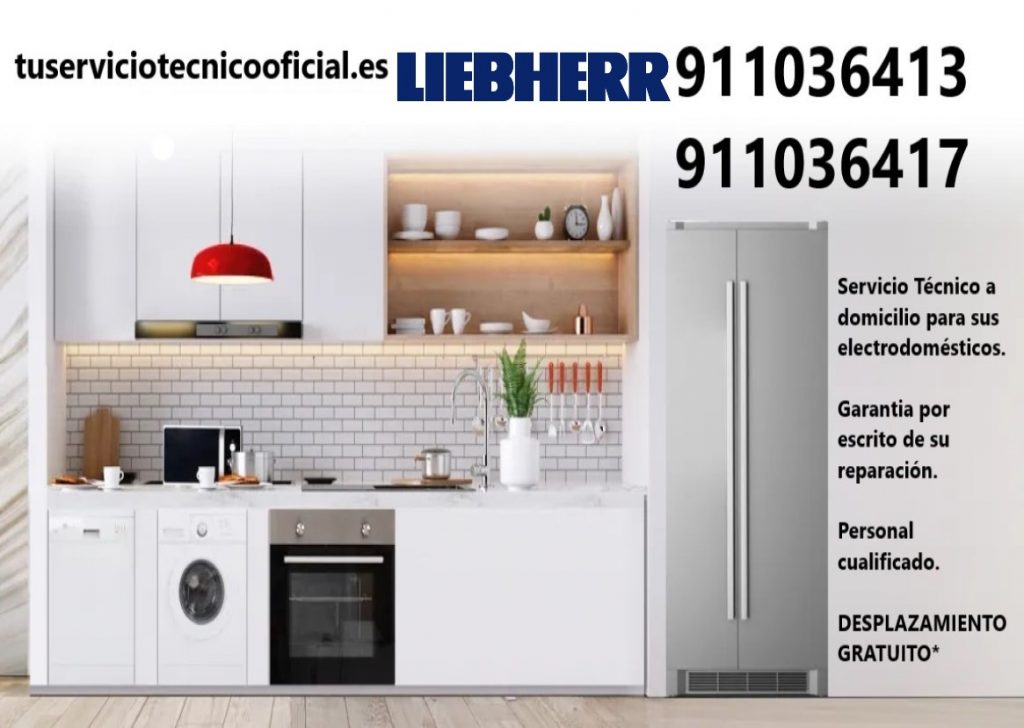cabecera liebherr 1024x728 - Servicio Técnico Liebherr en Madrid