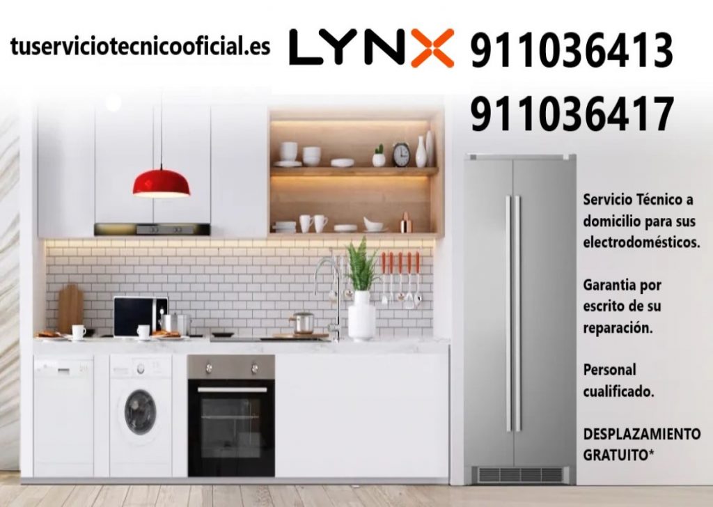 cabecera linx 1024x728 - Servicio Técnico Lynx en Madrid